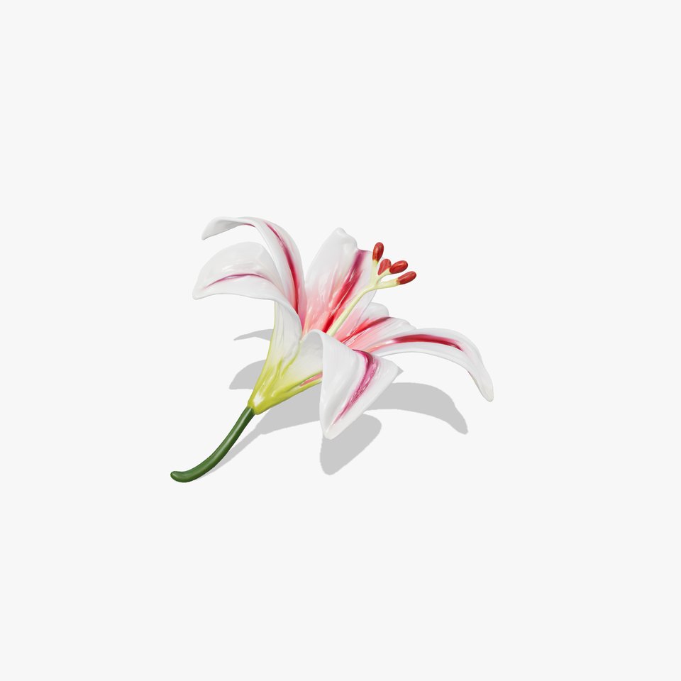 Martagon Lily Floral Model Pack with Intricate Petals